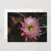 Morning Shade Briefkaart (Voorkant / Achterkant)