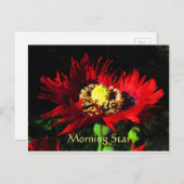 Morning Star Briefkaart (Voorkant / Achterkant)