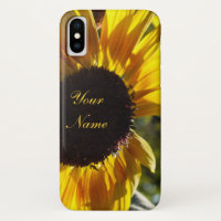 Morning Sunflower *