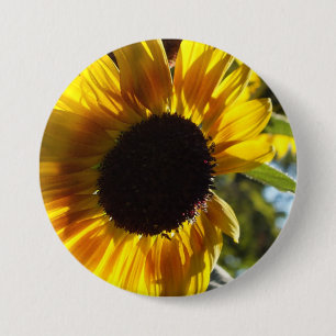 Morning Sunflower Ronde Button 7,6 Cm