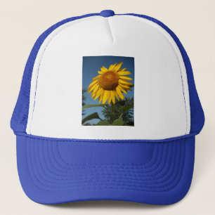 Morning Sunflower Trucker Pet