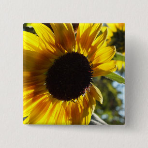 Morning Sunflower  Vierkante Button 5,1 Cm