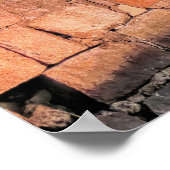 Morning Sunlight Poster (Hoek)