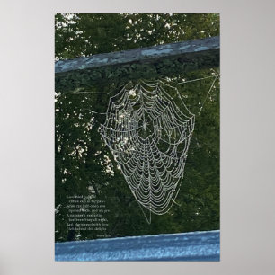 Morning Surprise, een met dauw bedekt spinnenweb Poster