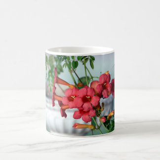 Morning Trumpets Mok