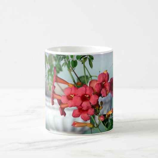 Morning Trumpets Mok (Center)