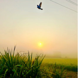 Morning Village uitzicht Poster