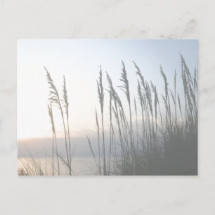 Morning Whisper Briefkaart