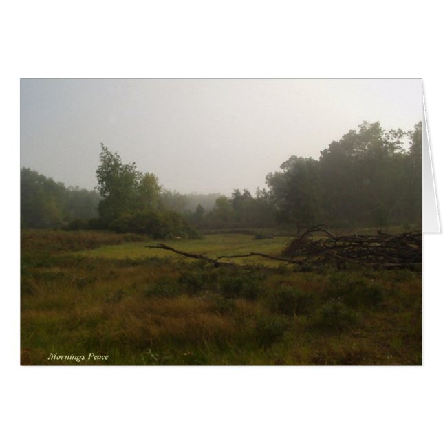 Mornings Peace (Voorkant Horizontaal)