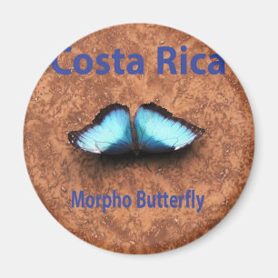 Morpho butterfly Costa Rica Magneet