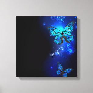 Morpho Butterfly in de donkere achtergrond Canvas Afdruk