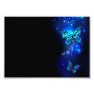 Morpho Butterfly in de donkere achtergrond Foto Afdruk