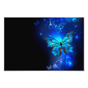 Morpho Butterfly in de donkere achtergrond Foto Afdruk