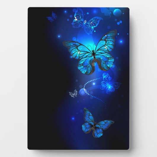Morpho Butterfly in de donkere achtergrond Fotoplaat (voorkant)