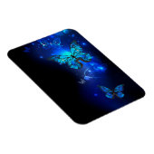 Morpho Butterfly in de donkere achtergrond Magneet (Rechterzijde)