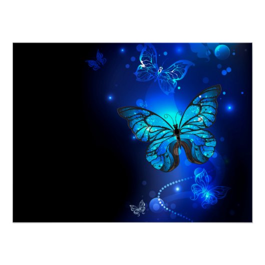 Morpho Butterfly in de donkere achtergrond Perfect Poster (Voorkant)