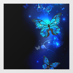 Morpho Butterfly in de donkere achtergrond Raamsticker