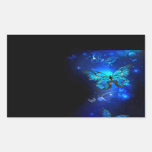 Morpho Butterfly in de donkere achtergrond Rechthoekige Sticker