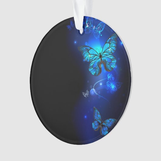 Morpho Butterfly in the Dark Background (devant)