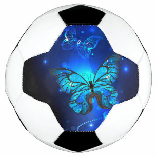 Morpho Butterfly in the Dark Background