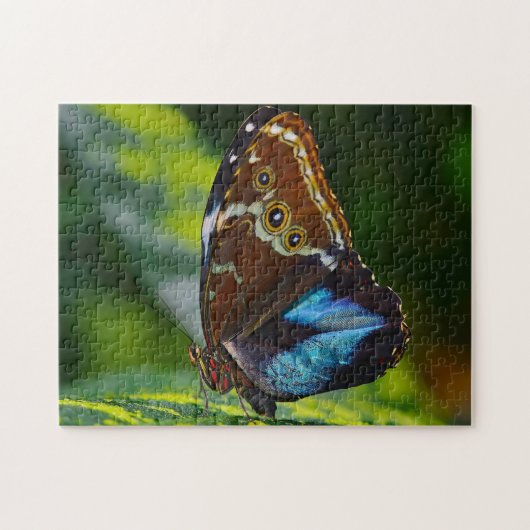 Morpho Peleides Butterfly. Legpuzzel (Horizontaal)