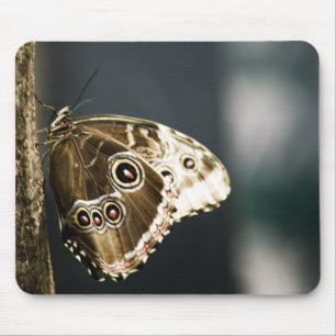 Morpho peleides Mousepad Muismat