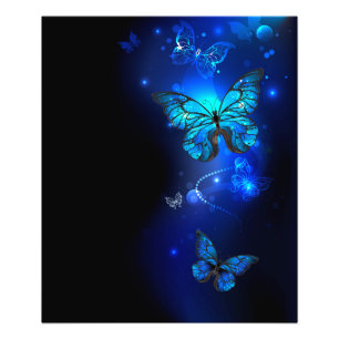 Morpho Vlinder in de Donkere Achtergrond Foto Afdruk