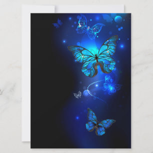 Morpho Vlinder op Donkere Achtergrond