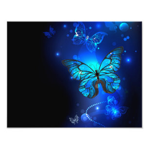 Morpho Vlinder op Donkere Achtergrond Foto Afdruk
