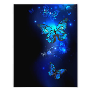Morpho Vlinder op Donkere Achtergrond Foto Afdruk
