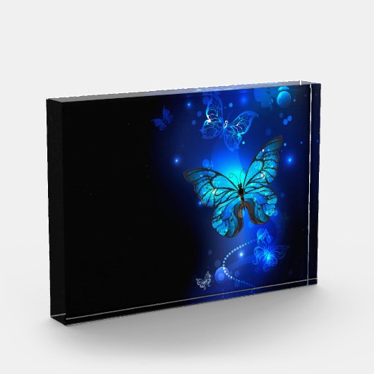 Morpho Vlinder op Donkere Achtergrond Fotoblokken (Links)