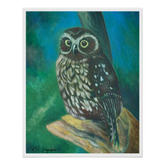 Morpork Owl-Poster Perfect Poster