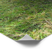 Morris 8 vintage-wagen poster (Hoek)