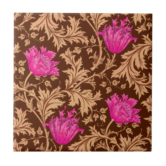 Morris Anemone Motif Brown et carreaux rose Fuchsi (Devant)
