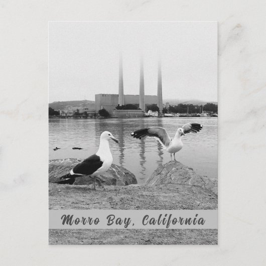 Morro Bay in zwart-wit Briefkaart (Voorkant)