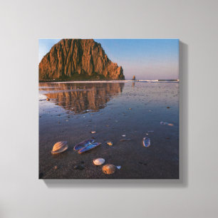Morro Rock weerkaatst in nat zand Canvas Afdruk