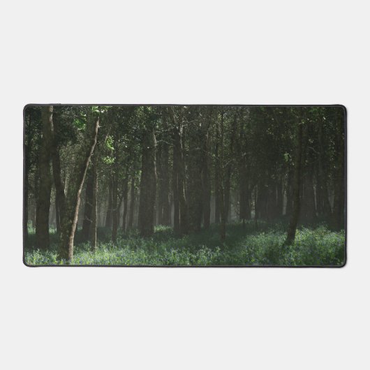 Morrow Grove (printemps) (Recto)