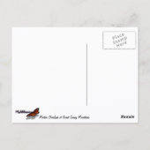 Morton Overlook at Great Smoky Mountains Briefkaart (Achterkant)