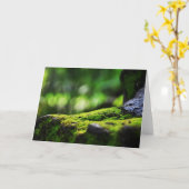 Mos groeit op stenen Wenskaarten Kaart (Gele Bloem)
