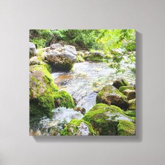 Mosachtige Bergstroom – Onbevlekte Rivier in het B Canvas Afdruk