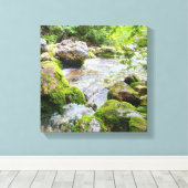 Mosachtige Bergstroom – Onbevlekte Rivier in het B Canvas Afdruk (Insitu (Houten vloer))