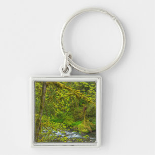 Mosachtige rotsen en bomen omzomen Eagle Creek Sleutelhanger