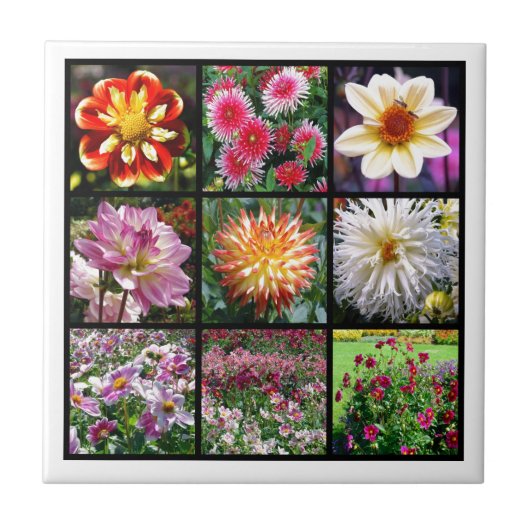 Mosaic dahlia-bloemen tegeltje (Voorkant)