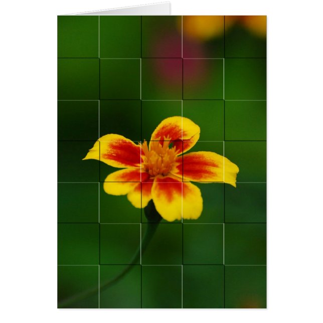 Mosaïque jaune (Devant)