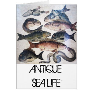 MOSAÏQUES ROMAINES ANTIQUES, POISSONS, SCÈNE DE VI