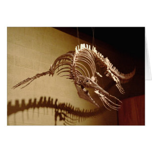 Mosasaur - "lézard de mer "