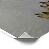 Mosasaur Poster (Hoek)