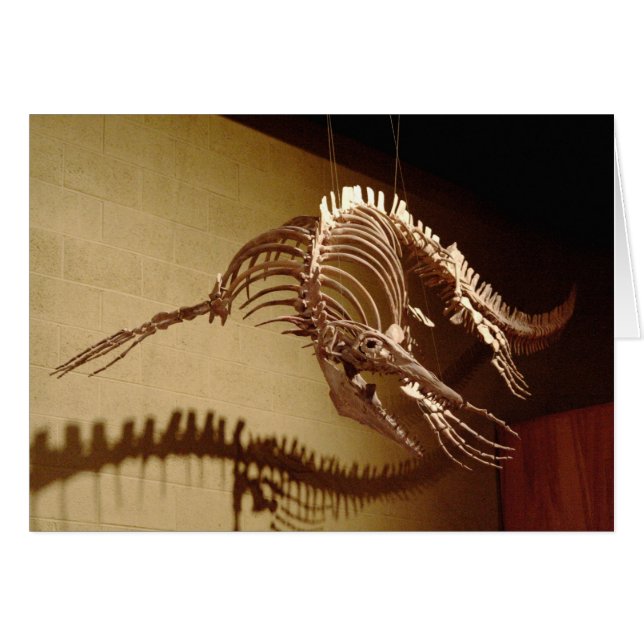 Mosasaur - "Zee Lizard" (Voorkant Horizontaal)