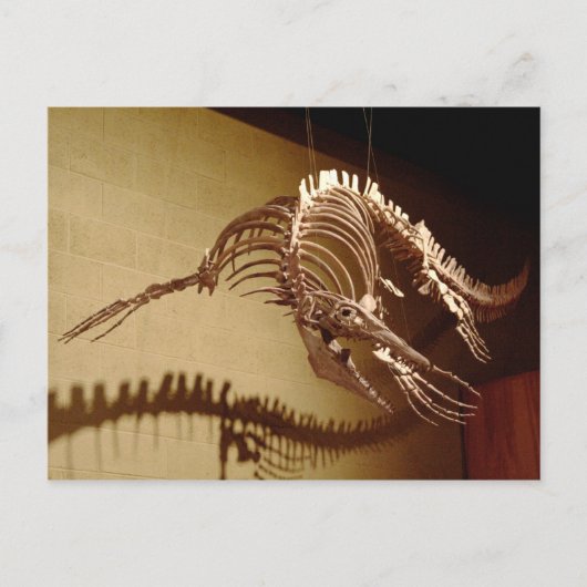 Mosasaur - "Zee Lizard" Briefkaart (Voorkant)