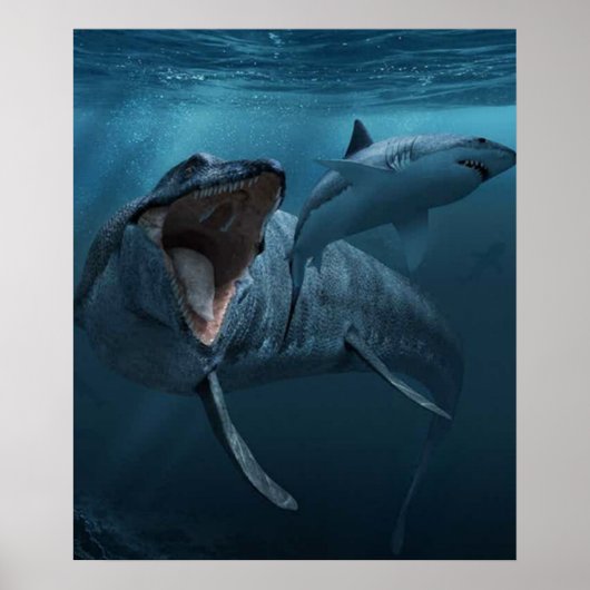 Mosasaurus achtervolgde haai poster (Voorkant)
